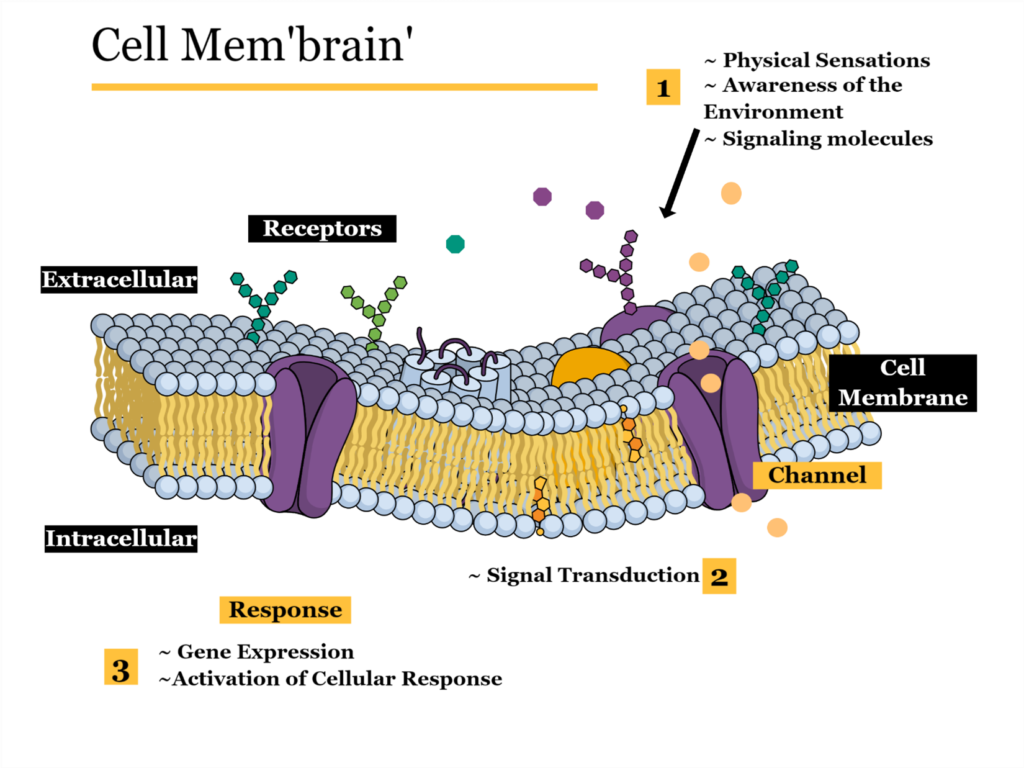 Messages from below 1024x768